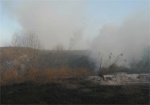 В Песочине из-за выжигания сухой травы сгорели 4 автобуса