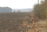В Валковском районе более 500 человек борются за право владения собственным земельным паем