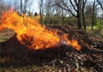 Харьковчанам напомнили о штрафах за сжигание листьев