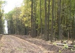 Почти 2 гектара лесопарка вернули в собственность Харькова