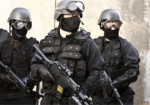 МВД начинает набор спецназовцев «КОРД»