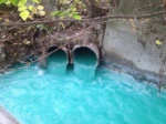 Установлен виновник загрязнения водоема в Змиеве