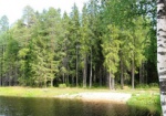 В Краснокутском районе пруд с лесом вернули в госсобственность