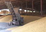 Харьковщина удерживает лидерство по количеству намолоченного зерна в Украине