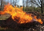 На Харьковщине произошло более 20 пожаров из-за выжигания листьев и сухой травы