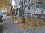 Самоубийство на Шевченко - мужчина выпал из окна