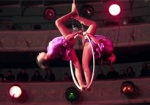 «Согреем старый цирк» - стартует благотворительная акция студии циркового искусства