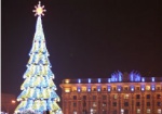 На площади Свободы начали устанавливать новогоднюю елку