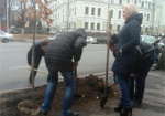 Харьков поддержал всемирную акцию «Деревья мира»