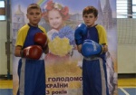 Юные харьковские кикбоксеры завоевали «золото» на турнире в Киеве
