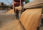 Экспорт украинской агропродукции в РФ упал на 70%