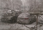 В Харькове из-за стихии упало более 2000 деревьев