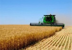 В Украине утвердили Стратегию развития сельского хозяйства