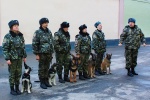 Харьковские питомники служебных собак стали победителями в национальном конкурсе