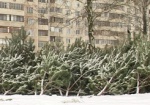 В Харькове - около 200 мест, где можно купить елку