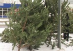 Экоинспекторы изъяли у харьковских торговцев 500 елок