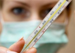 В Украине за неделю от гриппа умерли три человека