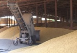 Директору харьковского госпредприятия вынесли приговор за сделки с зерном