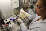 На Харьковщине подтверждены 20 случаев «свиного гриппа»