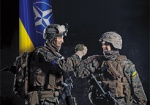 В ВСУ уже внедрили более 60 стандартов НАТО