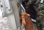 На «Гоптовке» служебная собака помогла найти патроны в авто