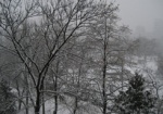 Сегодня во второй половине дня на Харьковщине – мокрый снег
