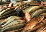 Рыбоохрана инспектирует рынки Харькова. Торговцев без разрешительных документов – штрафуют