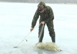 Борьба с браконьерами на Краснооскольском водохранилище. Нарушители ставят сети под лед