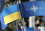 НАТО окажет помощь Украине в создании Сил спецопераций