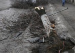 В Харькове нетрезвый водитель протаранил дерево и дорожный знак