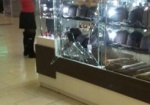 Женщину, которая разгромила витрины в торговом центре, отправили в психбольницу
