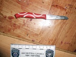 В Дергачевском районе женщина пырнула ножом бывшего мужа