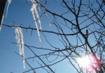 В Харькове зафиксировали аномально теплый февраль