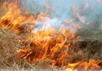 Спасатели напомнили о штрафах за выжигание сухой травы