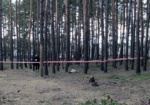 В лесу под Харьковом нашли тело женщины