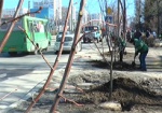 Сегодня в Харькове началась весенняя посадка деревьев