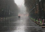 В Харькове - до конца недели дожди