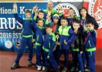 Харьковчане привезли 9 медалей с Международного турнира по каратэ