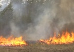 ГСЧС: Пожары в природных экосистемах набирают обороты