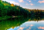 Председатель РГА незаконно отдал в аренду лес с озером