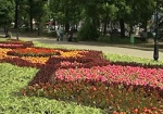К майским праздникам в Харькове высадят около 200 тысяч цветов