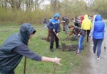 Жители Волчанского района создали парк
