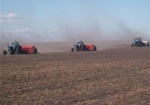 Украина засеяла яровыми зерновыми 82% запланированных земель