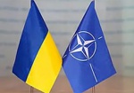 Президент: Украина начинает реформу сектора обороны для вступления в НАТО