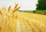 Украина и Латвия будут сотрудничать в аграрной сфере