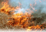 Харьковчан просят не сжигать сухую траву