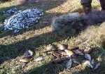 На Харьковщине у браконьеров изъяли более 150 кг рыбы