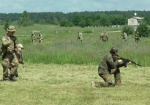 Сегодня в Башкировке прошли учения для отрядов территориальной обороны