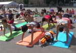 В Харькове уже второй раз проходит День йоги