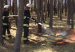 В области принимают меры, чтобы не допустить пожары в экосистемах